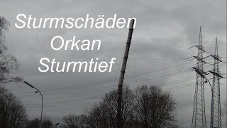 Sturmschäden bei Orkan  Sturmtief Friederike in Herne NRW Deutschland [upl. by Arraeis]