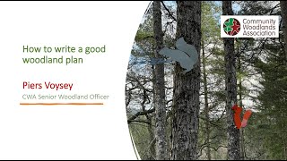 How to write a good woodland management plan [upl. by Acinom664]