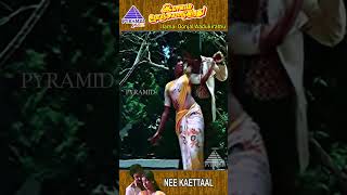 Nee Kettaal Naan Video Song  Ilamai Oonjal Aadukirathu Movie Song  Kamal  Sripriya  YTShorts [upl. by Compte87]