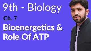 Matric part 1 Biology Bioenergetics and role of ATP  Ch 7 Bioenergetics  9th Class Biology [upl. by Kinny]