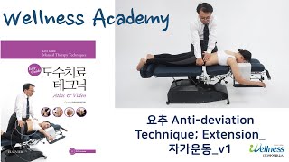 웰니스아카데미 도수치료요추 Anti deviation Technique Extension 자가운동 v1 [upl. by Gaspard]