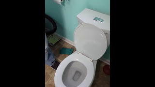 AS H2Option Dual Flush Round Front Toilet in White Seeds Review [upl. by Einnil]