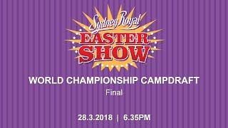 World Championship Campdraft  Final [upl. by Cida283]