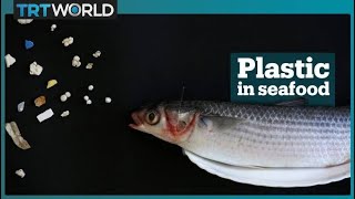 Microplastic waste in seafood [upl. by Nolaj]