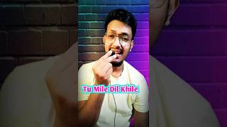 Tum Mile Dil Khile  Cover Song  Kumar Sanu shorts shortsfeed youtubeshorts [upl. by Orhtej535]