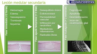 Trauma raquimedular III [upl. by Zemaj]