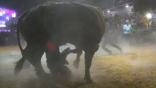 LLEGO LA TRAGEDIA AL JARIPEO  RANCHO LA HERENCIA EN XALPATLAHUAC GUERRERO 2024 [upl. by Naniac718]