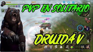 FROSTBORN  PVP SOLITARIO CON DRUIDA V [upl. by Nywles191]