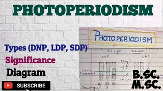 Photoperiodism Types Significance LDP SDP and DNP Photoperiodism BSc MSc Plant physiology [upl. by Ynahpit384]