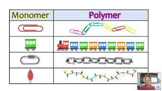 Intro to Macromolecules CHONP Monomer vs Polymer General bio Updated [upl. by Sibylle328]