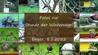 Stunde der Wintervögel [upl. by Chelsy]