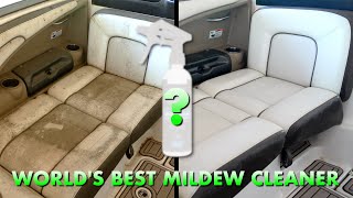 Worlds BEST Mildew Cleaner  Before amp After [upl. by Noterb349]