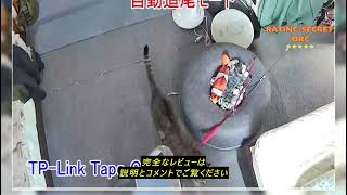 レビューTapoタポ Tapo 防犯カメラ 屋外 ソーラー 見守りカメラ WiFi 防犯カメラ ソーラー 太陽光パワー ペットカメラ WiFi フルワイヤレス 2K 300万画素 IP65 防水 [upl. by Attenol]