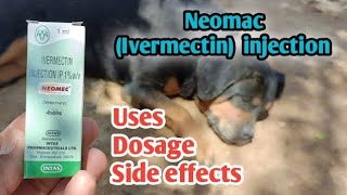 NEOMAC Injection use in Dogs  Ivermectin UsesDosageSide effects etc How to use dogs neomac [upl. by Sadinoel447]