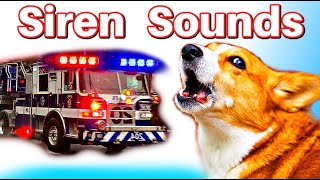 Fire Siren for Dogs [upl. by Nappie]