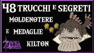 🏅MOLDENOTTERA Dove Trovarli e le 3 MEDAGLIE  Trucchi e Segreti di Zelda Breath of the Wild 48 [upl. by Alon]