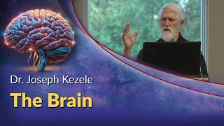 Dr Joseph Kezele  The Brain [upl. by Livesay]