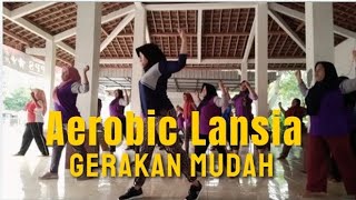 AEROBIC LANSIA GERAKAN MUDAH TANPA LONCAT bugar senam sehatbugarluarbiasa bugarsepanjangusia [upl. by Rushing]