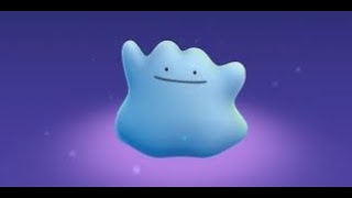 6IV SHINY DITTO GIVEAWAY  Pokemon BDSP CLOSED [upl. by Conner]