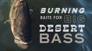 Burnin’ Summer Crankbaits  Canyon Lake AZ [upl. by Nerraf]