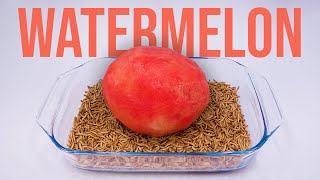 10 000 Mealworms vs PEELED WATERMELON [upl. by Chancellor633]