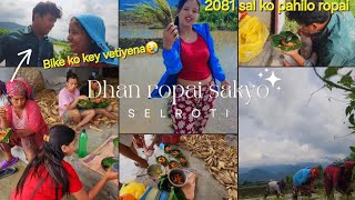 BIKE KO SAMAN HARAYO KHET MA🥹2081 KO pailo Dhan ropai kasto rahayo ta [upl. by Adnahs]