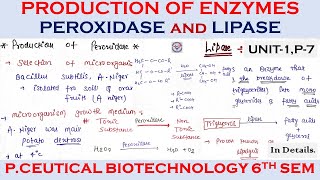 Production of enzymes  Peroxidase And Lipase Production Pharmaceutical Biotechnology  u1 Part7 [upl. by Beard140]