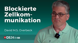 Wie Überforderung die Zellkommunikation blockieren kann  Forscher David MS Overbeck  QS24 [upl. by Nawak290]