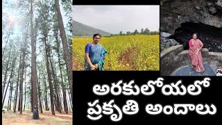 అరకు లోయలో జలపాతాలు amp పైనరి అందాలు  Araku Pinery Ranajilleda amp Chaparai watetfalls [upl. by Ecnerol]