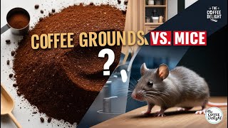 Do Mice Like Coffee Grounds  Coffee Grounds vs Mice MythBusting Home Hack [upl. by Nwadahs692]