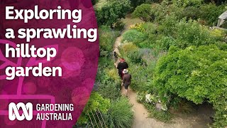 How this sprawling hilltop garden provides artistic inspiration  Discovery  Gardening Australia [upl. by Nednyl]