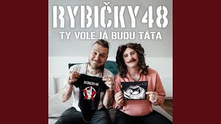 Ty vole já budu táta [upl. by Nivak]