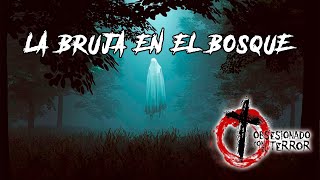 LA BRUJA EN EL BOSQUE  PÓDCAST  TEMPORADA 0108 [upl. by Niuq827]