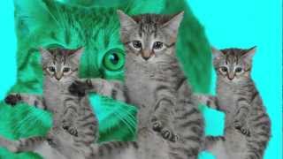 Cattanooga Cats  quotTheme Tunequot [upl. by Odoric]