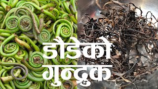 Daude ko Gundruk  Daudeko Sukuti Banaune Tarika  Dried Fiddlehead Fern Recipe  Lingad Dry Recipe [upl. by Jo-Ann]