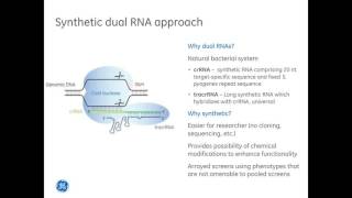 John SchielOptimizing homology directed repair HDR results with CRISPR Cas9 [upl. by Ahsiym756]