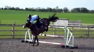 Epic fail horse  caduta da cavallo divertente [upl. by Price]