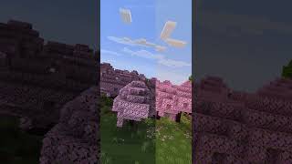 Minecraft Comparison Sildurs Basic vs Enhanced vs Vibrant Shaders [upl. by Arolf]