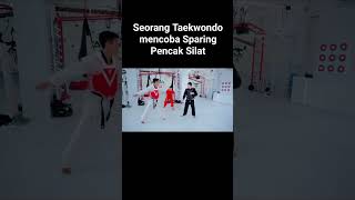 Taekwondo vs pencak silatsparring sparing [upl. by Ansley]