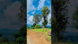 සුන්දර හපුතලේ ❤️🥶haputhale travel with dila 😍travel viralvideo shorts srilanka [upl. by Junieta]