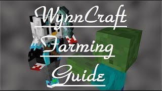 WynnCraft Farming Guide Fixed [upl. by Aikkan560]