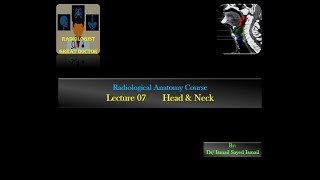 Radiological Anatomy Course Lecture 07 Head and Neck Part2 [upl. by Jerz895]