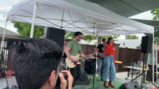 Jonesing  Live at Davis Cherry Blossom Fest [upl. by Yejus]