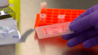 How to use a Hemocytometer for Tissue Culture Cell Counting [upl. by Devland]