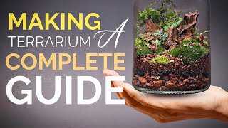 How to make a terrarium A complete guide [upl. by Mccahill]