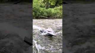 Proboat Riverine jet boat has epic battle with rapids [upl. by Ainslee230]