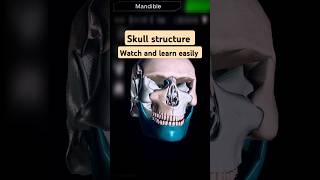 must watch👁️👁️studyshorts easylearninglearning hacks skull structureshortsshortsfeeduseful [upl. by Yenttihw]