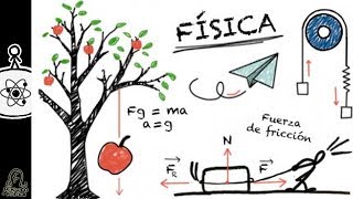 Erros comuns na Física  Minuto da Física [upl. by Pomfret]