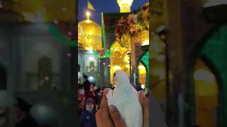 ROUZA E IMAM E ALI REZA AS MASHHAD IRAN [upl. by Bernardi]