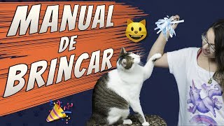 Manual para Brincar com Seu Gato [upl. by Thury741]